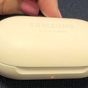 Samsung Wireless Earbuds & Case